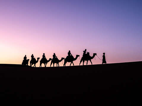 Desert rides
