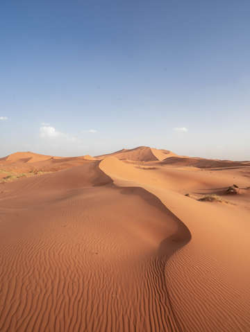 Sahara desert