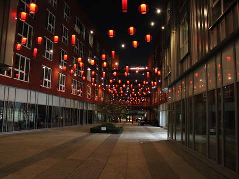 Chinatown x night