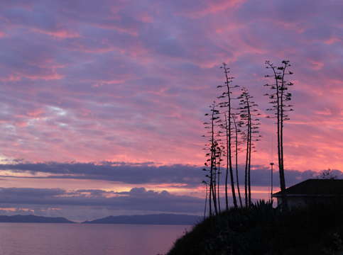 San pedro sunset