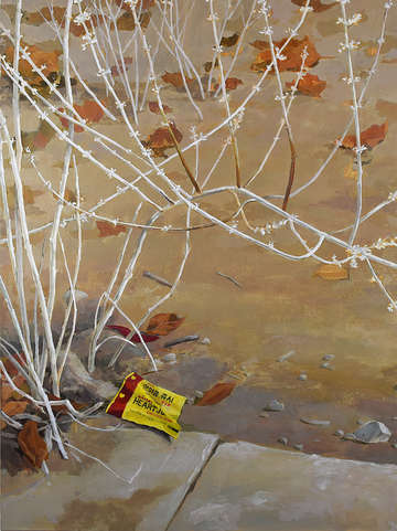 The wrapper