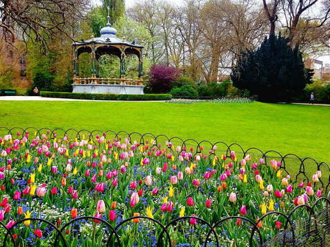 Springtime in bruges