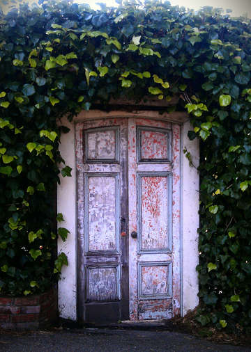 Carmel passage