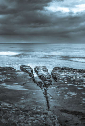 Winters grace in la jolla