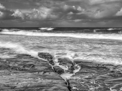 Winters magic majesty in la jolla