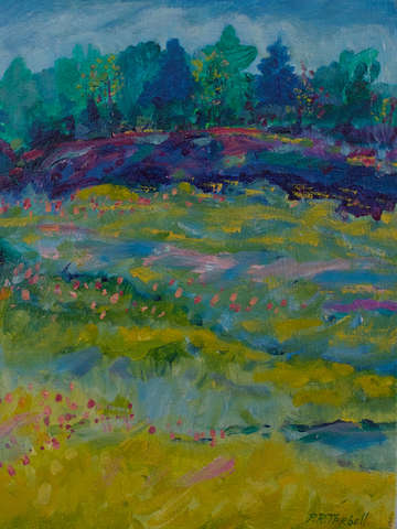 Back field