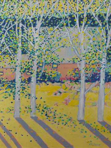 Birch stand