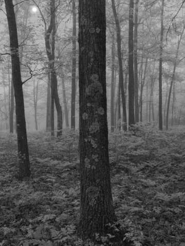 In the distance 6