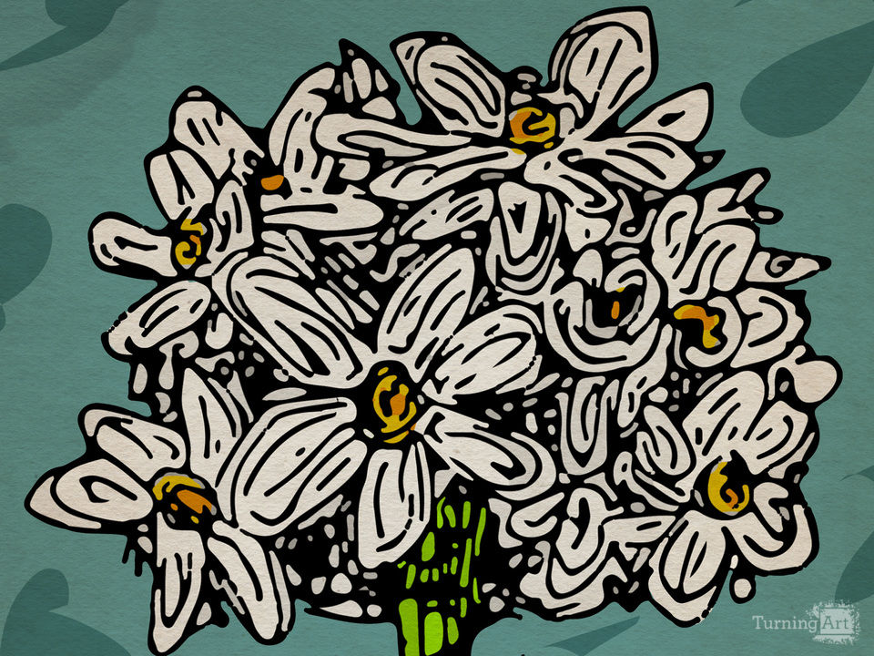 Daisy flowers