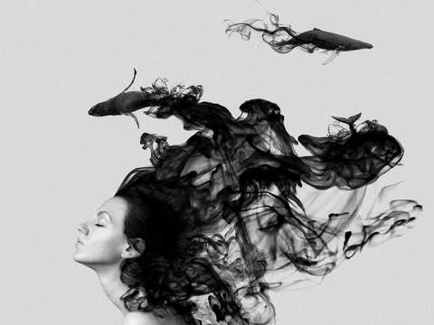 Metamorphosis black 5