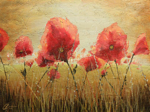 Wild-poppies-i