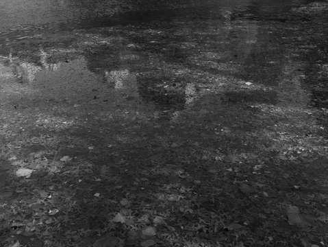 Untitled l1701266 2