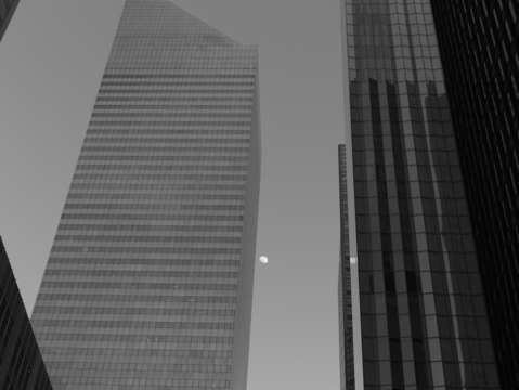 Untitled l1900409
