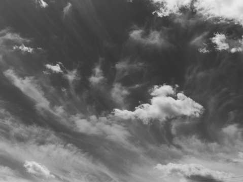 Untitled l1901501