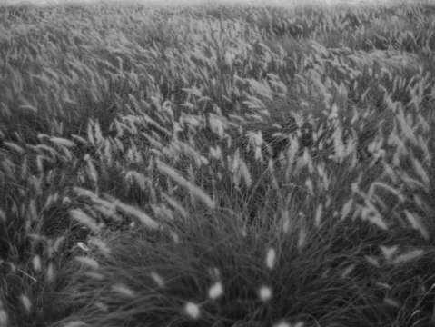 Untitled l1901843