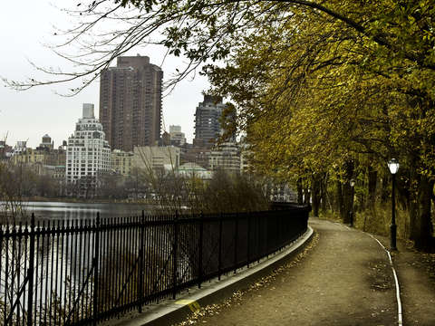 Central Park