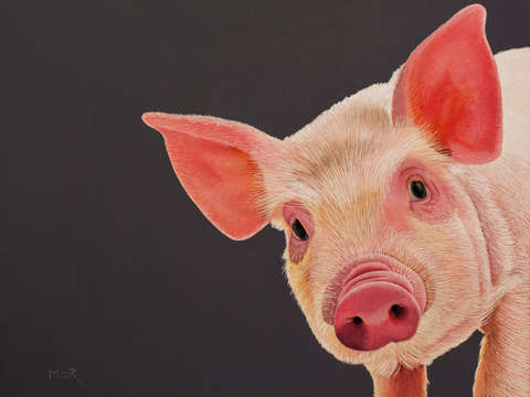 What do you mean by pulled pork