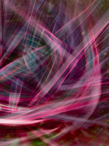 Burst 02102a