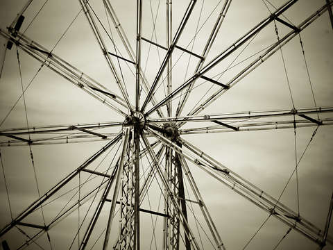 Tribune Wheel