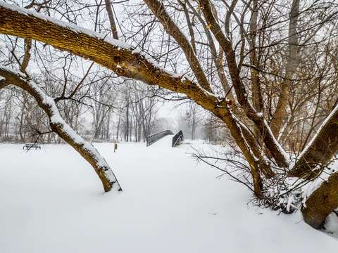 Snow bridge dsc 1197