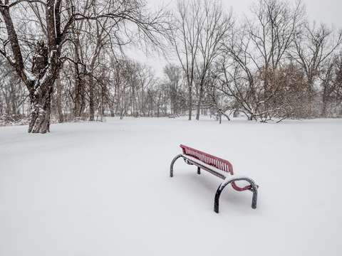 Bench in the snow dsc 1190