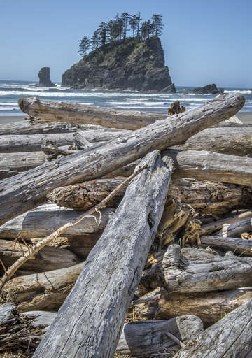 Driftwood with sea stack
