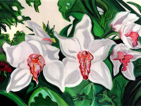 White orchids