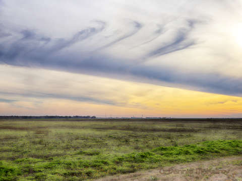 Air brushed sky