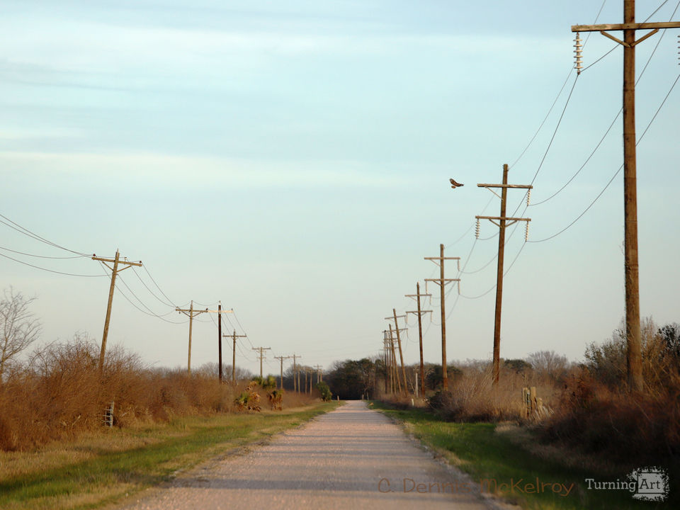 Country road 4