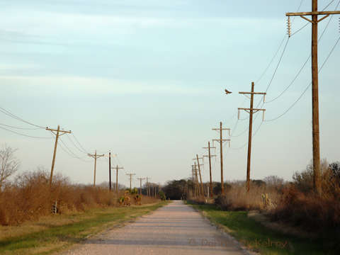Country road 4