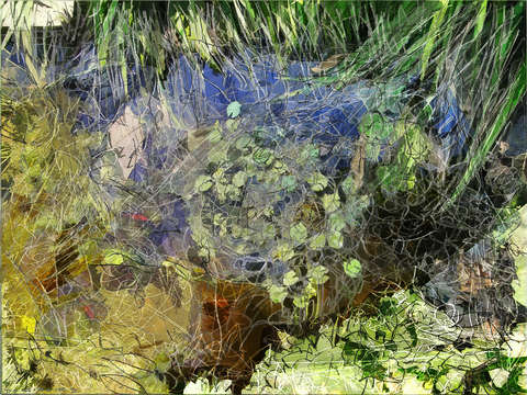 Garden pool I