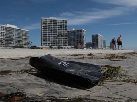 Lost flipper in san diego