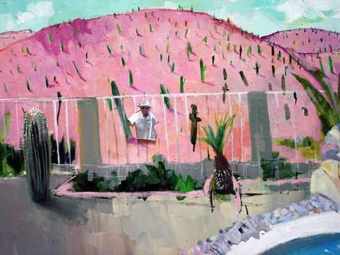 Phoenix backyard