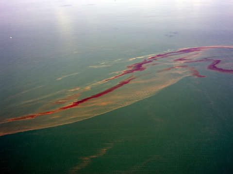 Oil on water 2