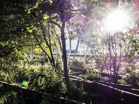 High line