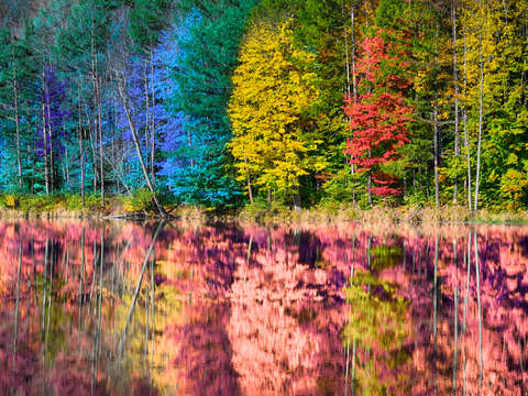 Splash of autumn