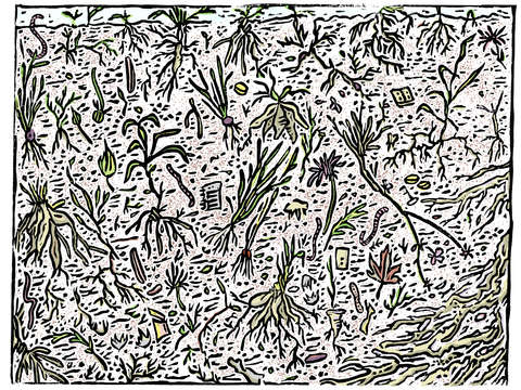 Taking root