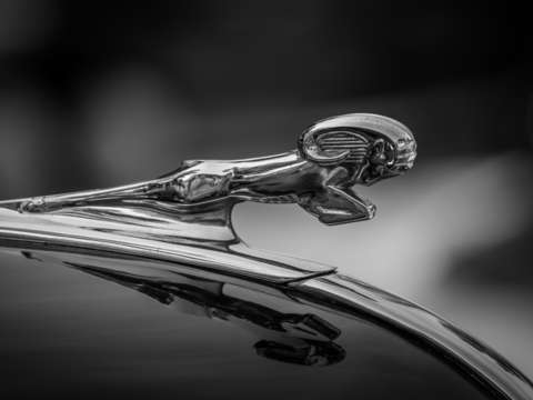 1939 dodge business coupe hood ornament