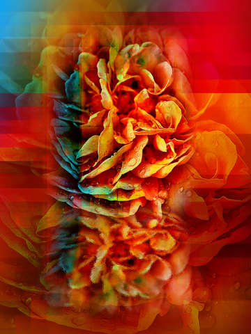 Pollen Bomb