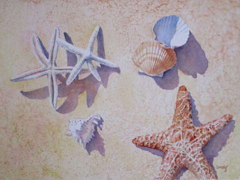 Stars and shells