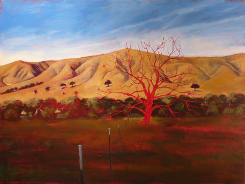 Salinas valley
