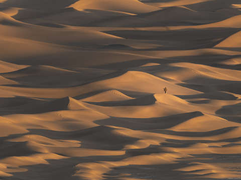 Photographer at sunrise
