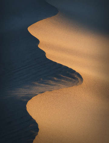 Dune slither
