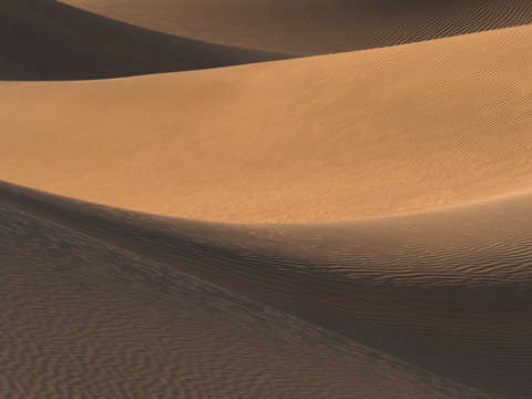 Dune abstract