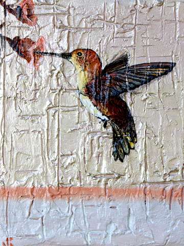 hummingbird
