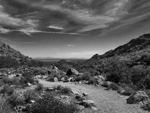 Arizona desert 3