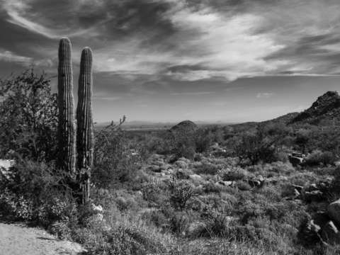 Arizona desert 4