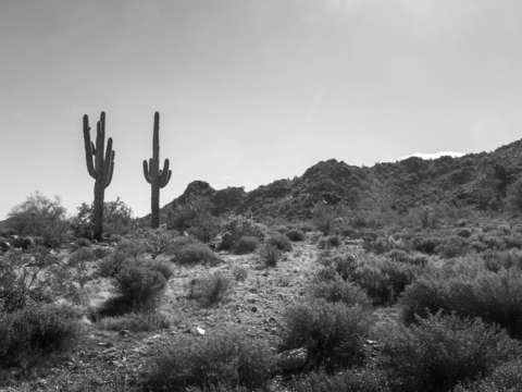 Arizona desert 6