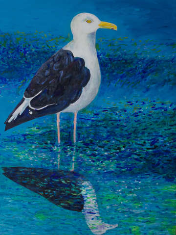 Sea gull 2