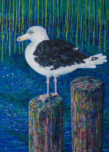 Sea gull 3